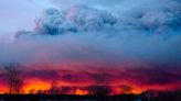 Carbon emissions from boreal forest fires rose in 2021