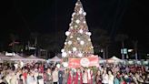 臺南聖誕節公益點燈 全台唯一原民聖誕樹傳遞幸福