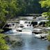 Aysgarth Falls