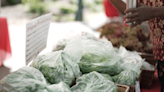 Environmental organization talks making farmers markets sustainable