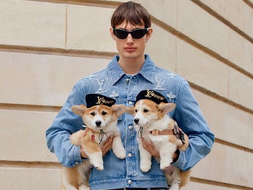 Gone to the dogs? Louis Vuitton goes barking mad with new canine collection