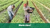 Nueva norma dará a trabajadores agrícolas temporales de Estados Unidos protecciones contra abusos