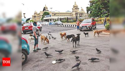 Over 63 canine squads in Bengaluru work towards protecting animals | Events Movie News - Times of India