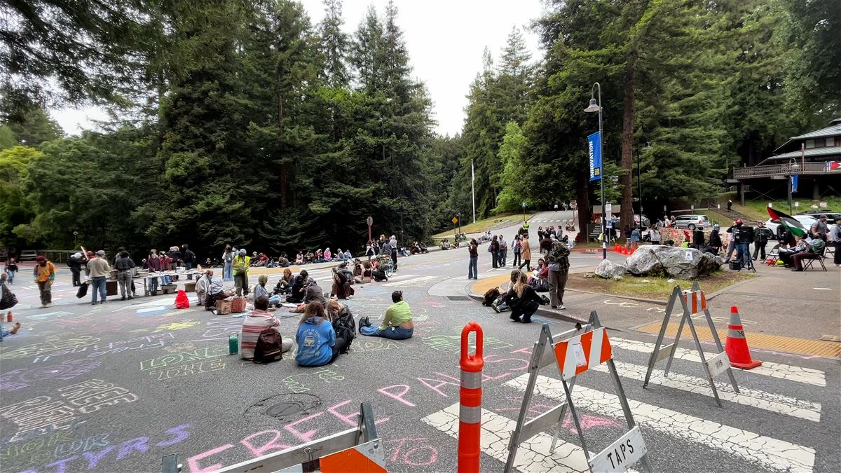 Pro-Palestinian student protesters block one of the main roads to UC Santa Cruz – KION546