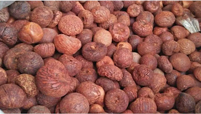 Arecanut Price in Karnataka July 8th: ರಾಜ್ಯದ ಮಾರುಕಟ್ಟೆಯಲ್ಲಿ ಇಂದಿನ ಅಡಿಕೆ ಧಾರಣೆ