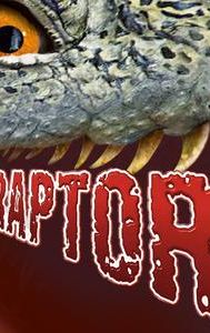 Raptor (film)