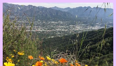 3 hassle-free L.A. hikes with free and easy parking