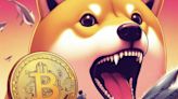 Shiba Inu Faces Uncertainty as 1 Trillion SHIB Dumped on Binance by Whale - EconoTimes