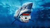 How to watch Shark Week 2023 online: stream on Discovery Plus from anywhere