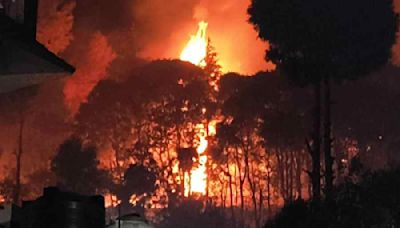 Everything must be put in place before next season to prevent forest fires in Uttarakhand: Supreme Court