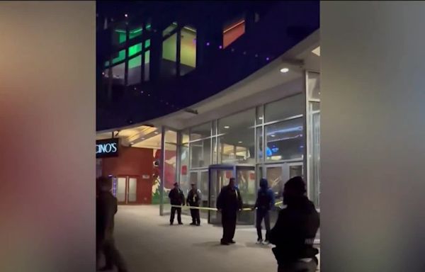 1 day of probation for man who opened fire inside South Loop movie theatre