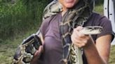 Burmese pythons are nonvenomous. But expect pain, blood if you are bitten by one