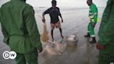 Unir esforços para proteger as Ilhas Tristão da Guiné – DW – 29/05/2024