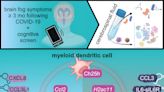 Researchers profile clinical, gene and protein changes in 'brain fog' from long COVID