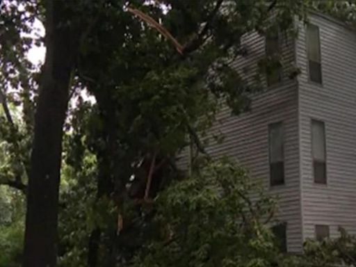 One dead after tree falls on Charlotte apartment building, neighbors say