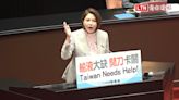 陳菁徽：輸液荒是國安危機 「Taiwan Needs Help！」 - 自由電子報影音頻道