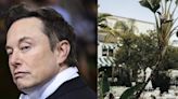 Elon Musk belongs to an exclusive Hollywood club that forbids members from taking pictures. Here's everything we know about the San Vicente Bungalows.