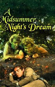 A Midsummer Night's Dream