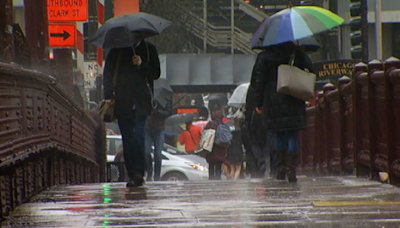 Chicago forecast: Showers, storms bringing 'torrential downpours' on the way