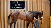 Coolmore, Godolphin Clash Over €2.3M Justify Colt