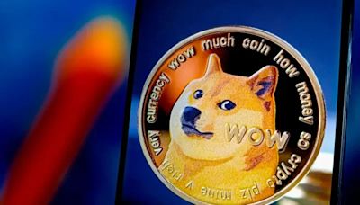 Der bekannteste Hund des Internets ist tot: Das müsst ihr über „Doge“ wissen