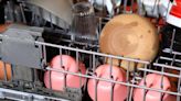 Why Plastic Doesn't Dry In The Dishwasher