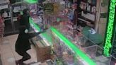 Exclusive video shows moment Bronx cannabis shop clerk fatally shoots robber