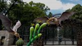 Quiróptera Festival del Bosque 2024 trae más de 100 actividades a Chapultepec