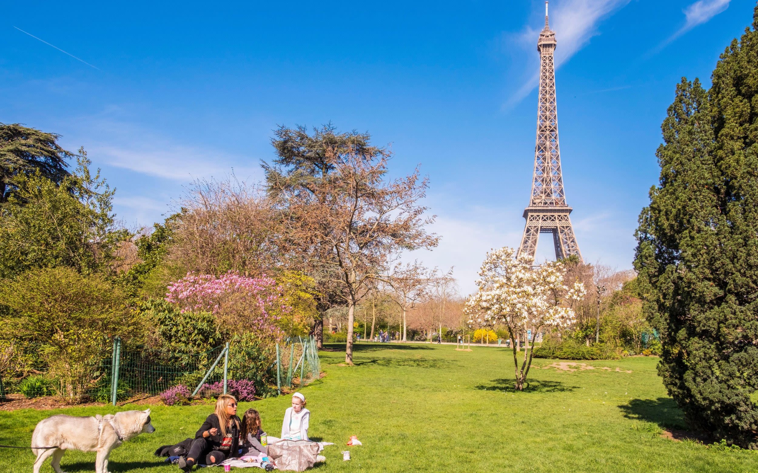 An insider’s guide to the Eiffel Tower, by someone who has been there 100 times