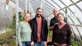 N.S. farm takes advantage of moderate climate to grow world's most expensive spice