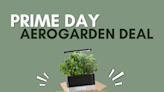 Our Favorite AeroGarden Is 70% Off for Prime Day