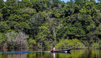 Hepatite Delta avança entre ribeirinhos no Amazonas - Imirante.com