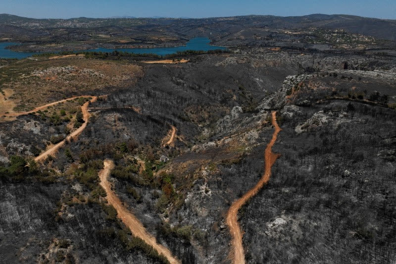 Faulty power cable may have caused Greece's worst wildfire this year, sources say