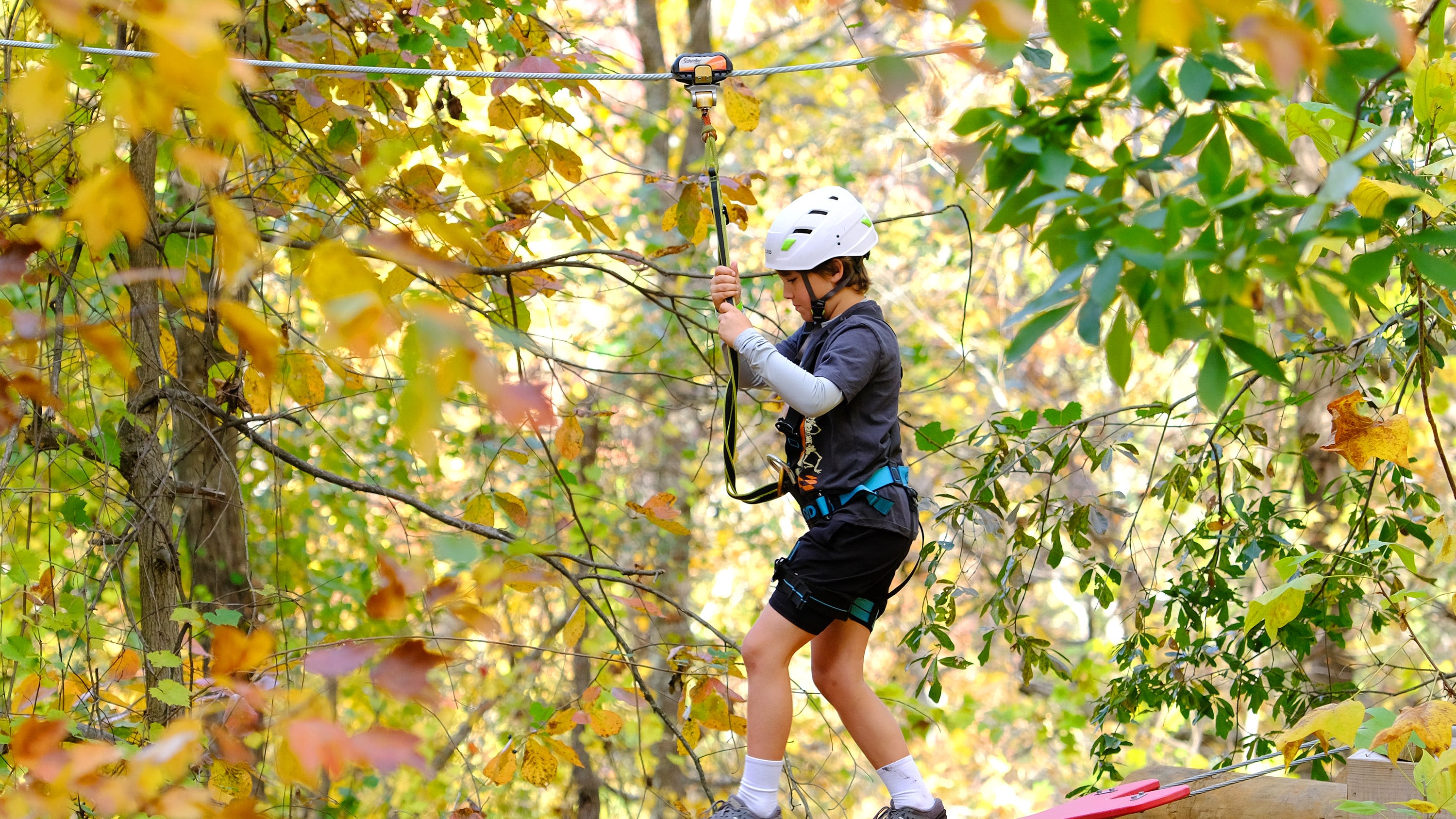 Greenville aerial adventure park voted in nation's top 10: Here's why it's so exciting