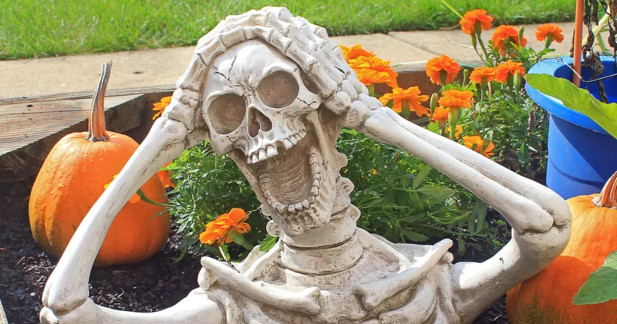 The best Halloween decorations you can get at Wayfair in 2024 are spooky in all the right ways