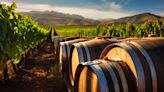 Is The Duckhorn Portolio, Inc. (NAPA) A Good Wine Stock to Buy Now?