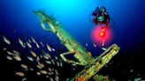 D-Day shipwrecks were a WW2 time capsule – now they are home to rich ocean-floor life