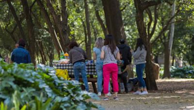 3 lugares únicos para hacer un picnic en la CDMX