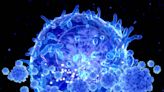 Consiguen transformar células cancerosas en armas contra el propio cáncer