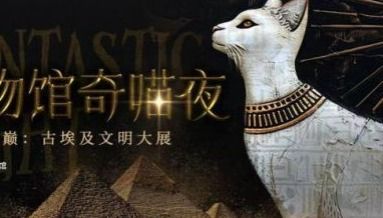 Shanghai Museum invites pet cats to Egyptian antiquities exhibition