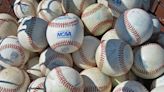 LOOK: Dog snags home run ball during University of Arizona baseball game