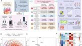 Pattern of blood plasma protein levels reveals development of sepsis in patients