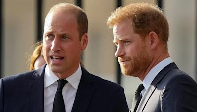 Harry & William have no chance of making up after funeral silence, says expert