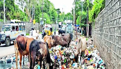 Kannur plant to recycle meat waste into pet food