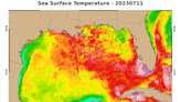 Waters off Florida hit record high temps. Brace for fish kills, algae blooms, coral damage