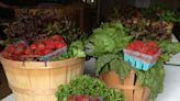 Four Central Jersey CSAs to get weekly fresh produce to your table this upcoming season