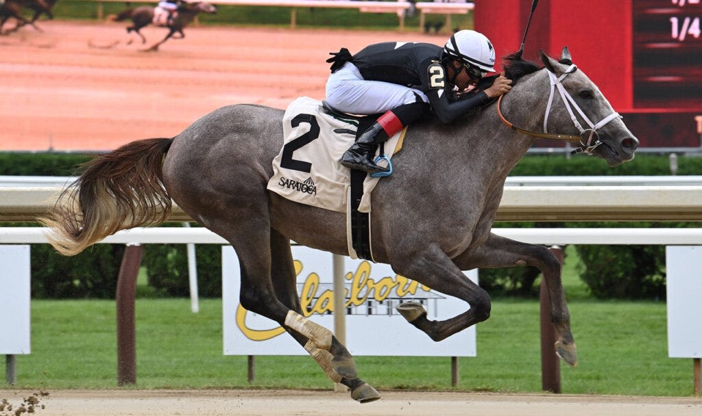 Seize the Grey trainer, jockey, owner and more to know about 2024 Kentucky Derby hopeful