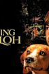 Shiloh 3: Saving Shiloh