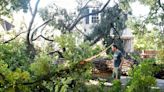 Months after storm devastated Shreveport, Louisiana, planting the seeds of change: Reporter's Notebook