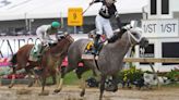 Preakness winner Seize The Grey will run the Belmont Stakes, Mystik Dan undecided